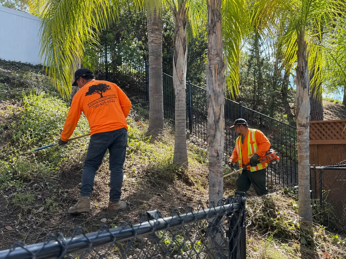 Two Robles crew members maintaining a landscaped hillside among palm trees