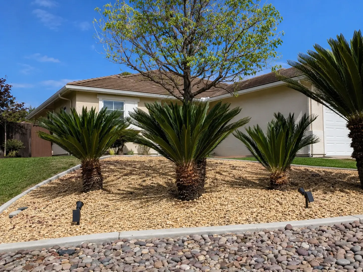 Finished residential front yard with decorative rock, healthy plantings, and a maintained tree